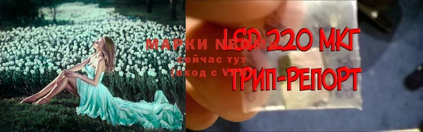 jwh Верея