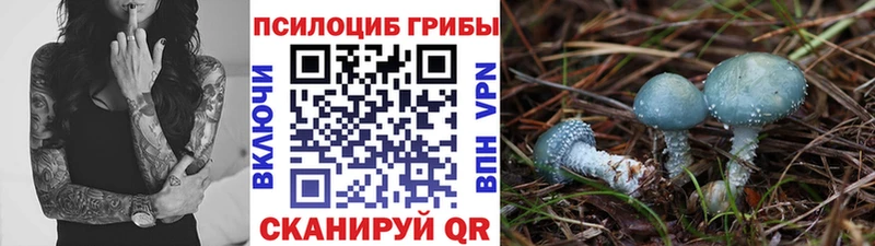 Галлюциногенные грибы GOLDEN TEACHER  Вытегра 